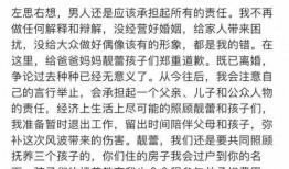 前妻李靓蕾发文爆料视频,揭秘婚姻背后的真相
